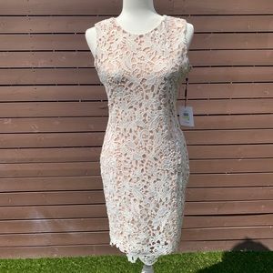 🆕 NWT Calvin Klein White Tan Lace Dress